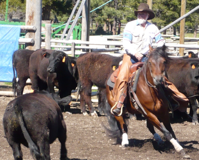 Noble-T Lena Lui 1 cropped