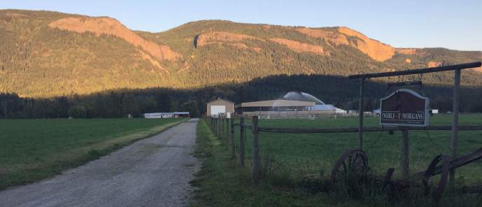 Nobles t Banner Sign