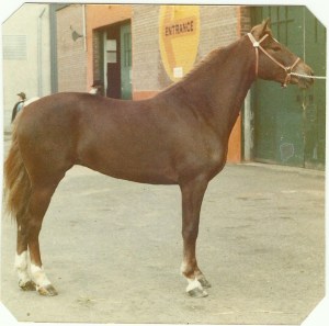 Sheritt Ethan Walker 1975